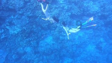 威海再增一个“国字号”夜间文旅消费集聚区!