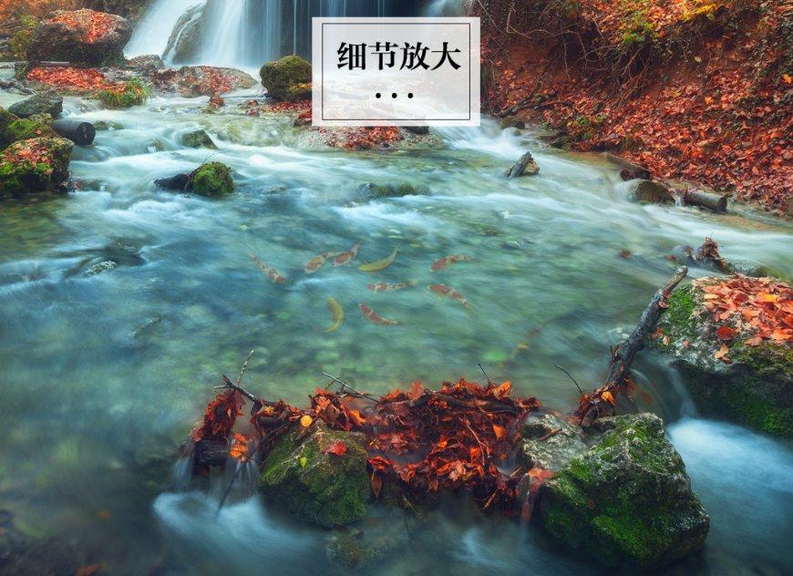 大城市生活的女孩