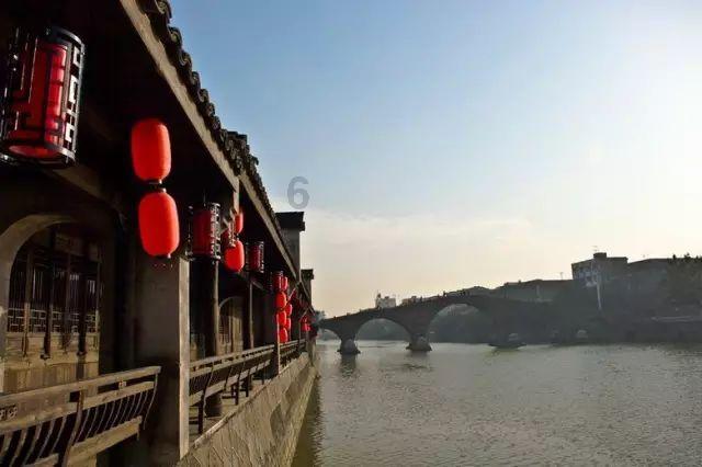 逃离变色龙森林